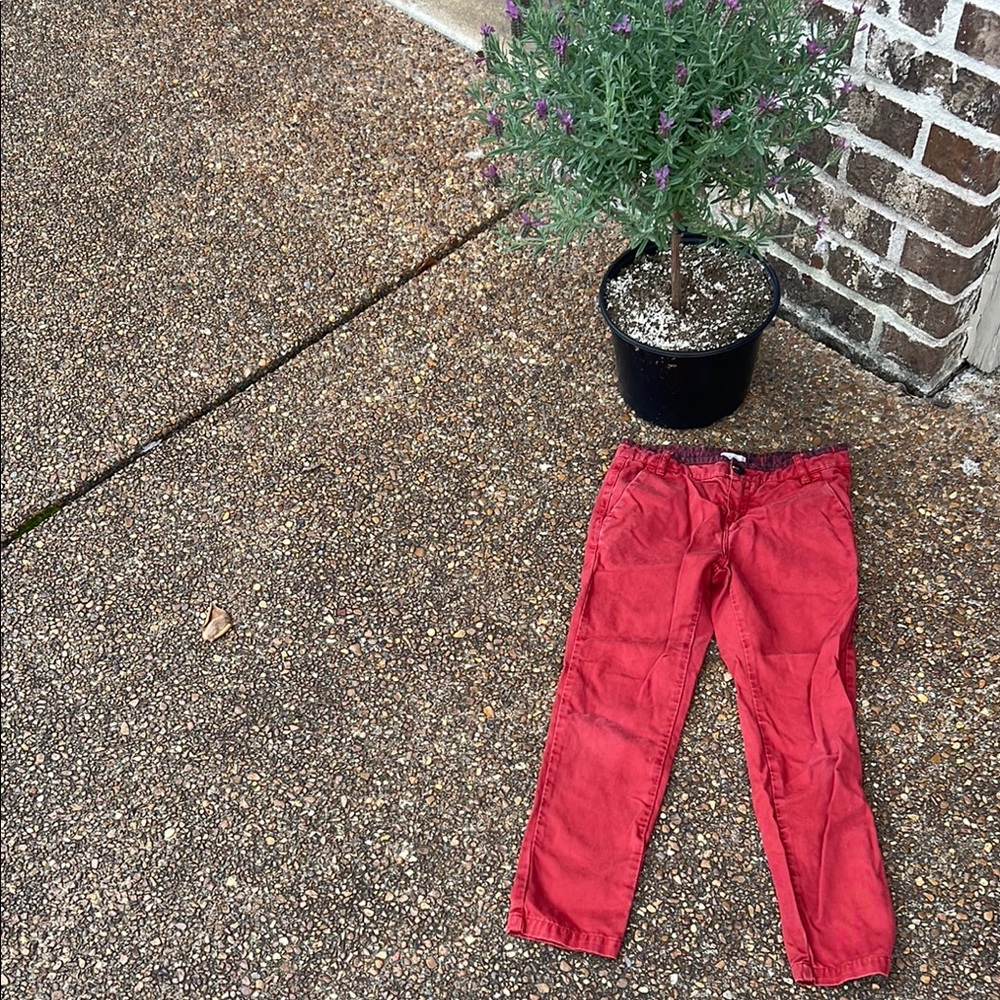 Boys Maroon Casual Pants ~ Paul Smith JUNIOR TRENDY CHINO 8A